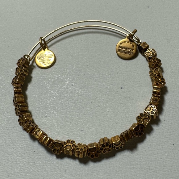 Alex and Ani Dog Paw Bracelet - Picture 4 of 4